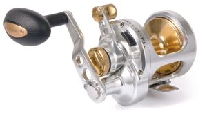 Pic: Mick Fletoridis